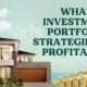 Investment portfolio strategies