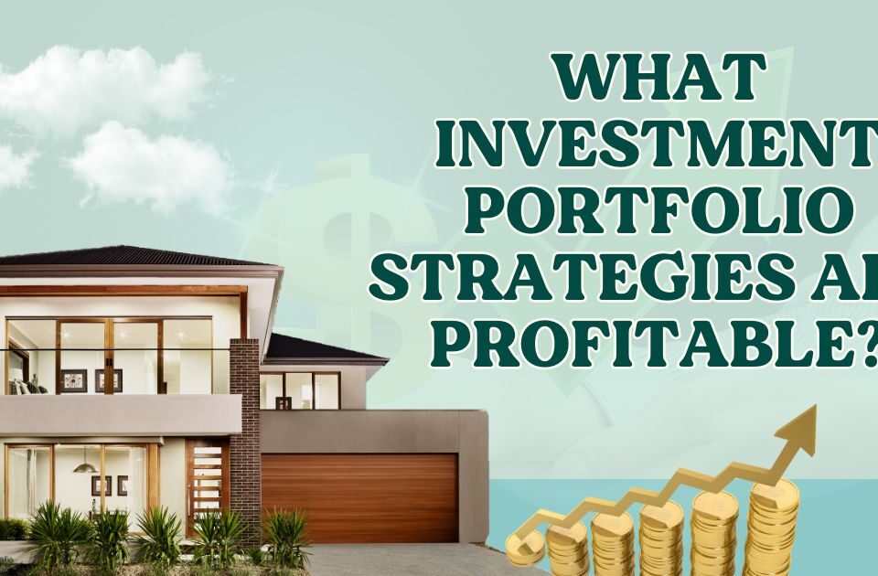 Investment portfolio strategies