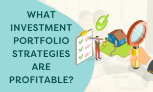 Investment portfolio strategies